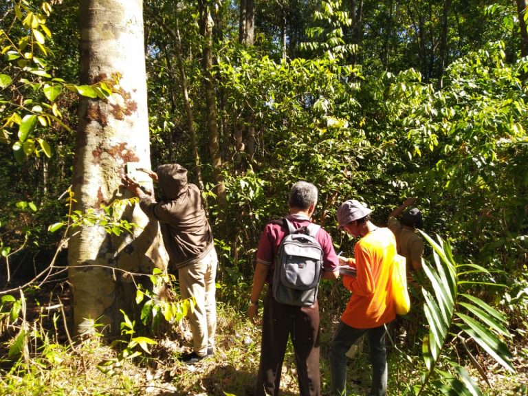 KHDTK ULM LAKUKAN PEMASANGAN PAPAN NAMA ILMIAH PADA POHON DI SEKITAR